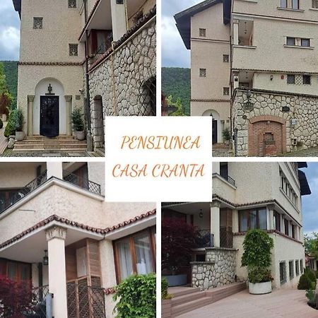 Pensiunea Casa Cranta Brašov Exteriér fotografie