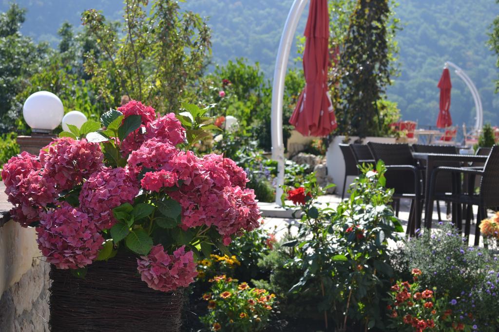 Pensiunea Casa Cranta Brašov Exteriér fotografie